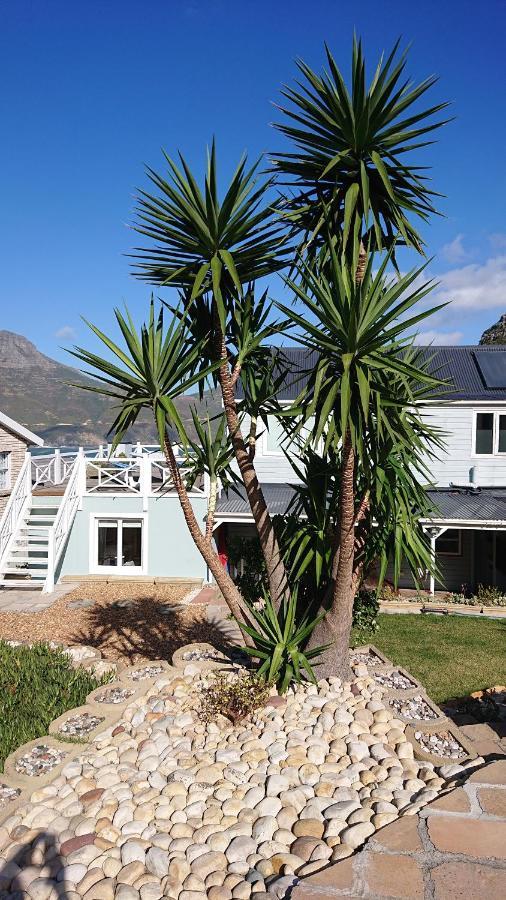 Villa Amanzi Hout Bay Bagian luar foto