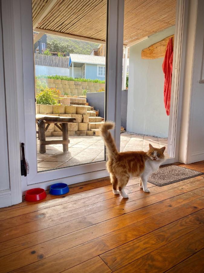 Villa Amanzi Hout Bay Bagian luar foto